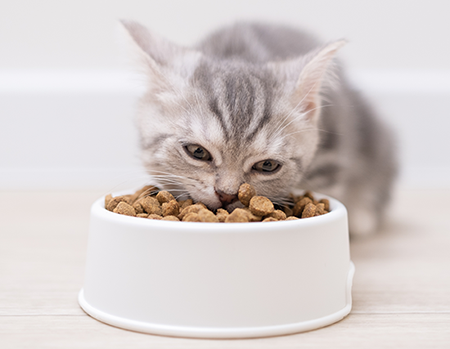 weight management