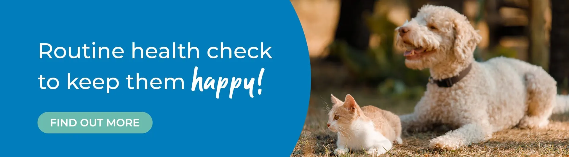 Pet Health Plan by Colne Valley Vets