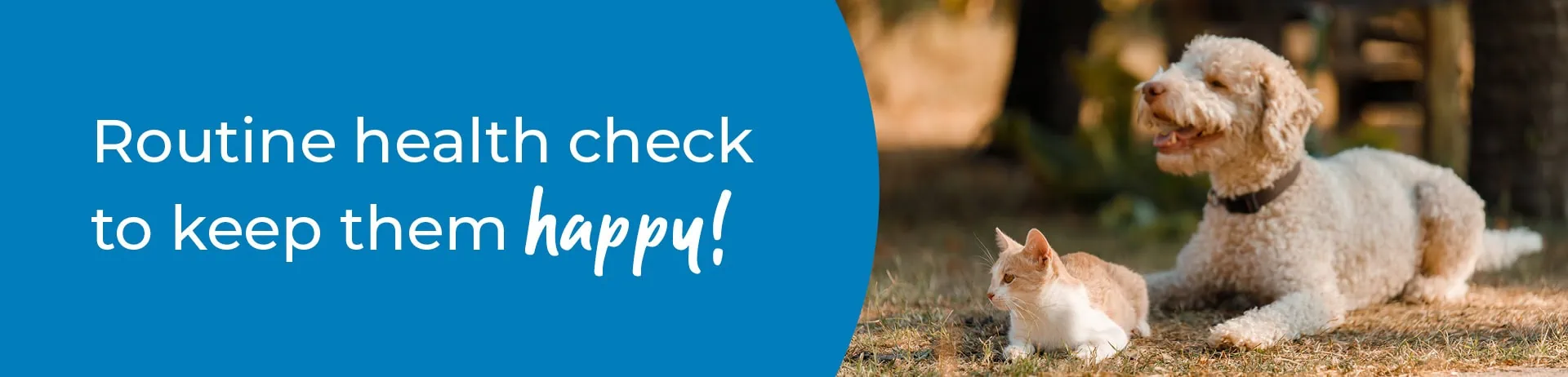 Pet Health Check in Essex | Preventative Vet Care