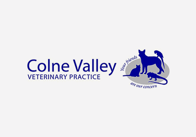Importance of pet insurance
