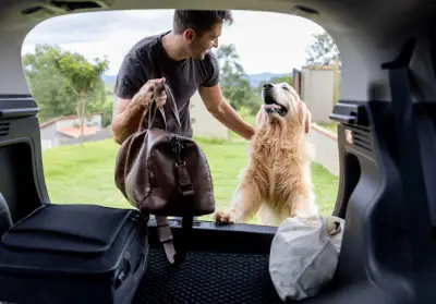 Prepare your dog for a smooth journey when travelling